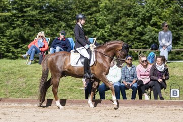 Bild 449 - Pony Akademie Turnier